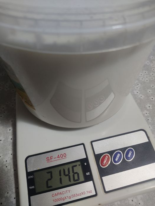 Продам альпийскую козочку