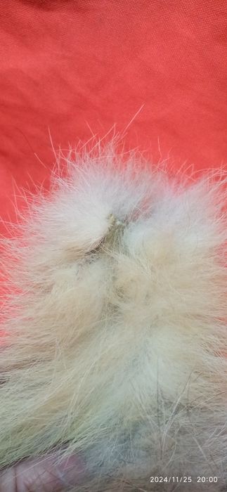 Хвост натуральный