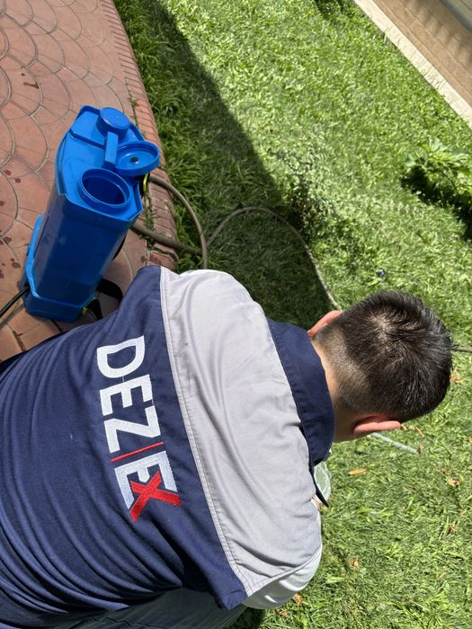 dezinfeksiya дезинфекция