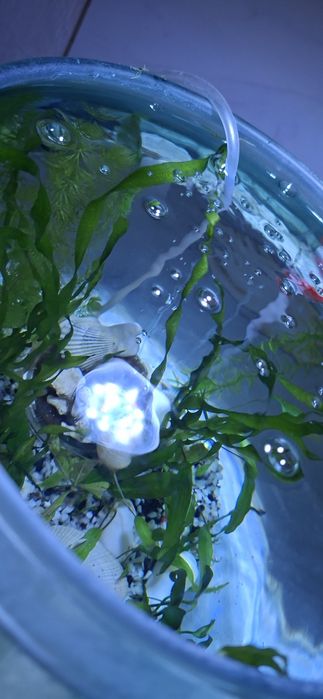 Аквариум цельный