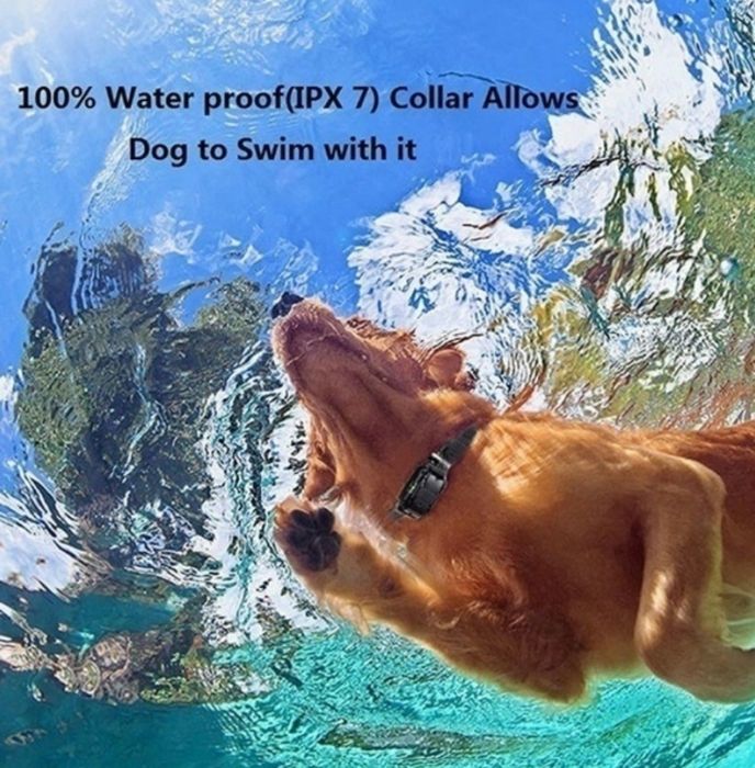 Каишки за кучета различен цвят