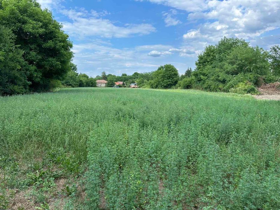 Продава се Парцел в с. Къпиново, Област Велико Търново - 1870 кв.м за 6 €/кв.м - Снимка #7