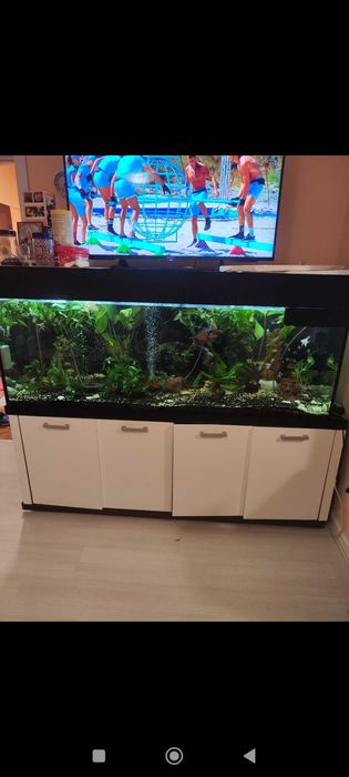 Обурудван Аквариум 600л. +