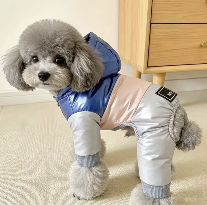 Одежда для животных