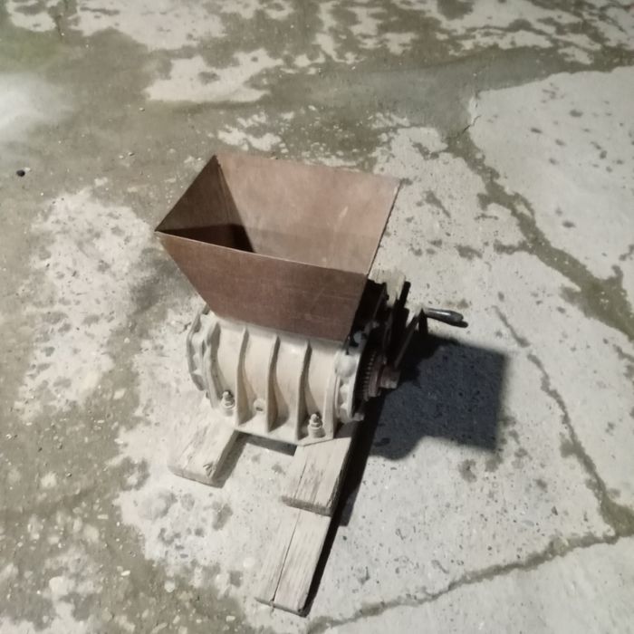 Узум чнсигич вено