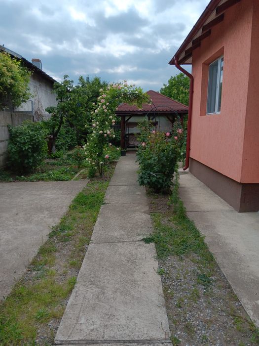 Vanzare casă + livada + teren