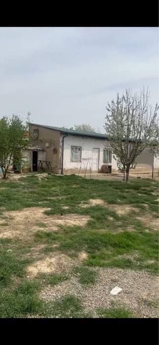 Зангиота тумани бузсувда 11 сотих участка ер хисобида сотилади