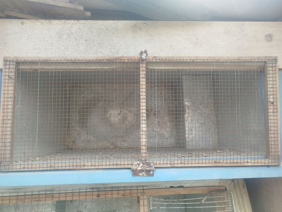 Продам Брудера для цыплят