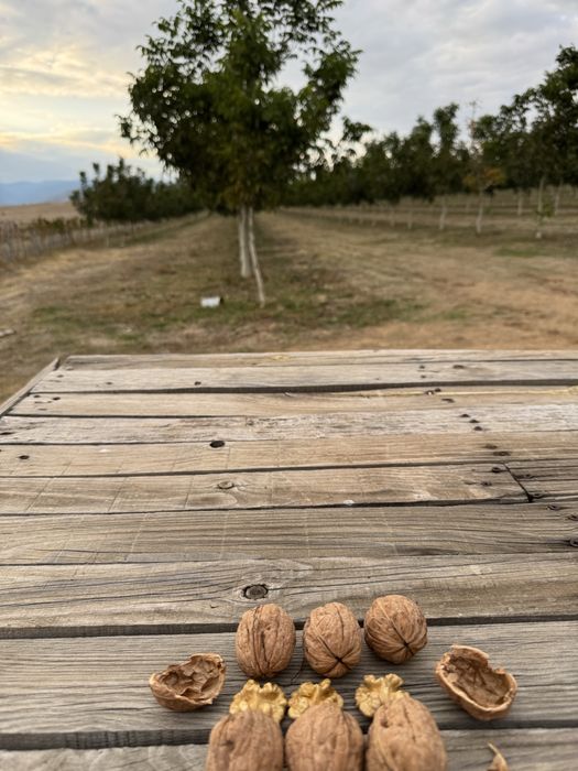 Орехи Чандлър собствено производство