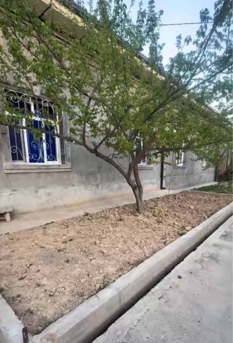 Юнусобод Тикланиш махалла 8 сотих ер хисобида