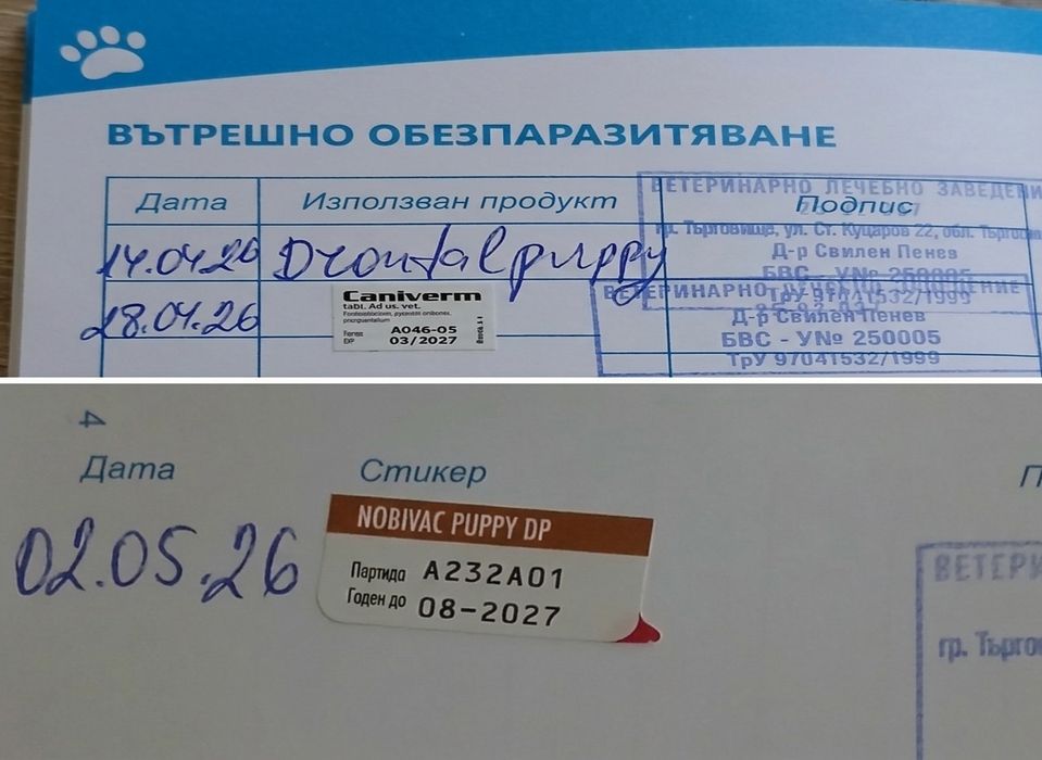 Кученца за трюфели