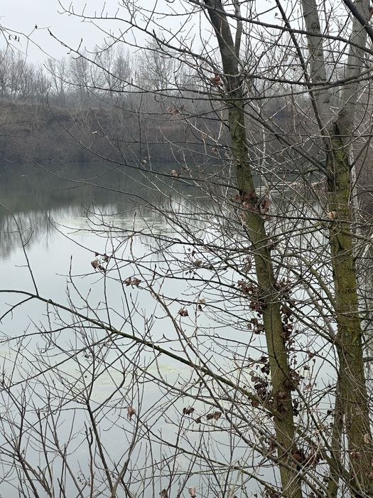 Lac de pescuit balta