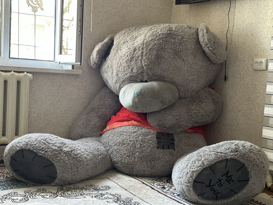 Teddy ayiq eng kattasidan