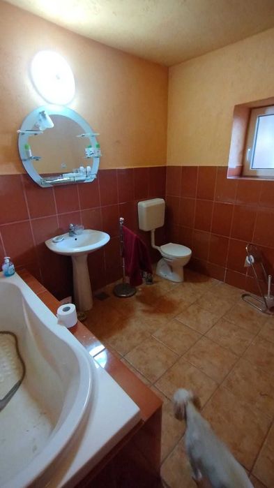 Casa de vanzare - Petresti (Satu Mare)