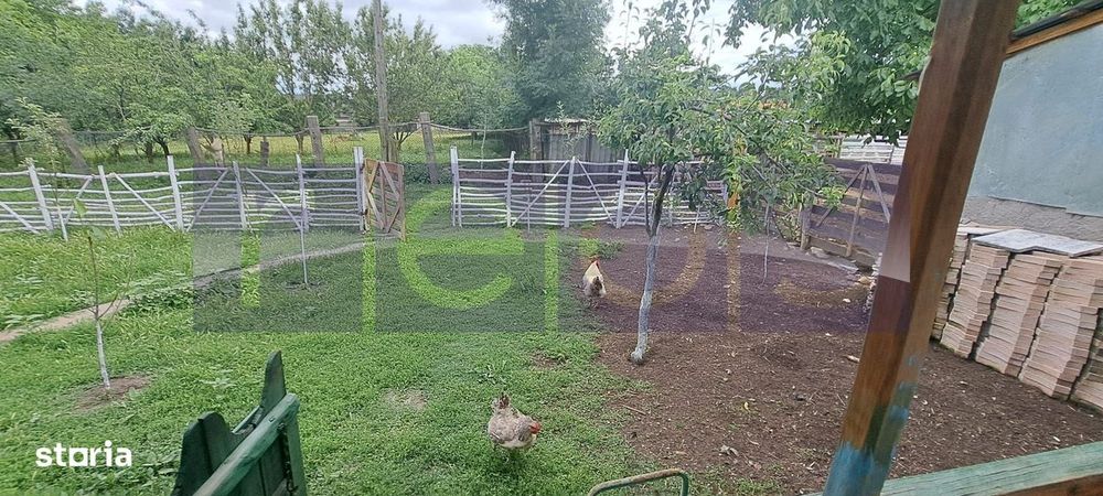 Vanzare Casa | Teren 2.500 Mp | Livada Si Gradina | Comuna Beuca, Tele