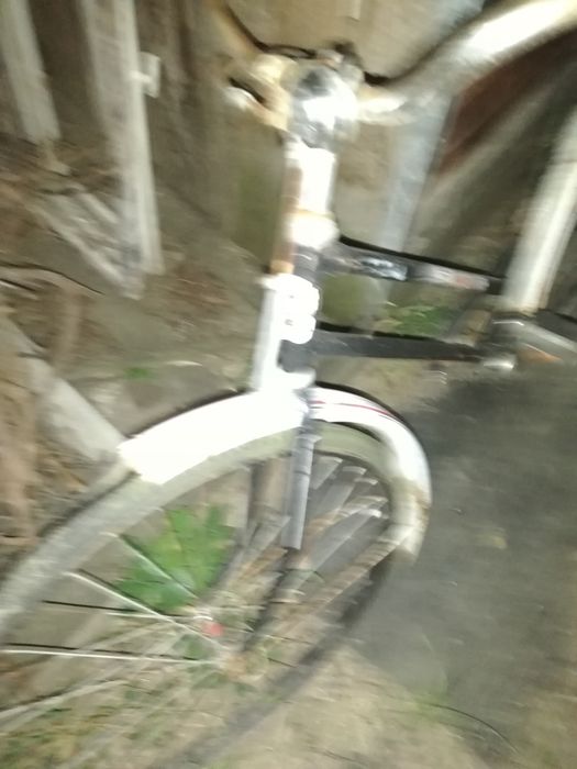 Bicicleta pegas.