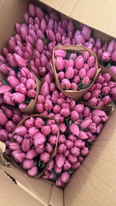 Тюльпаны оптом Астана