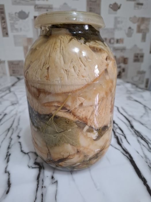 Продам грузди соленые