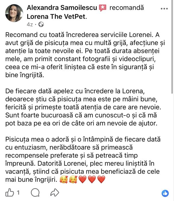 Petsittng, vizte la domiciliu pisici