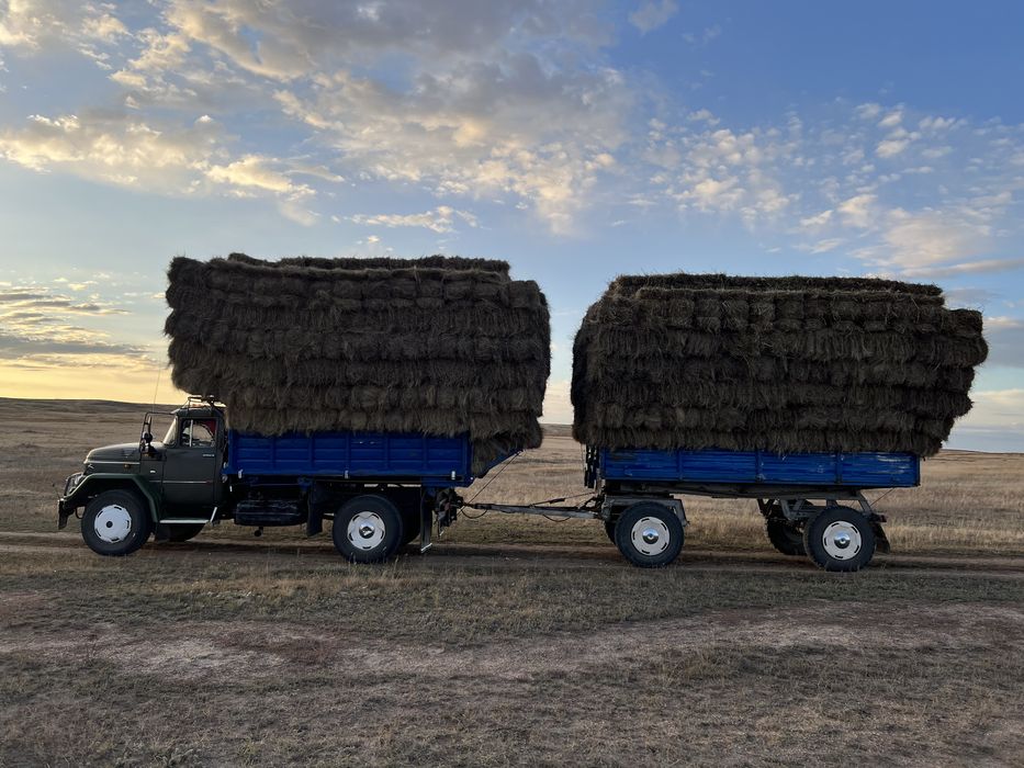 Продаю сено в рулонах