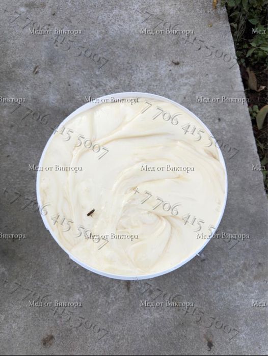 Белый Мёд ( Жантак )