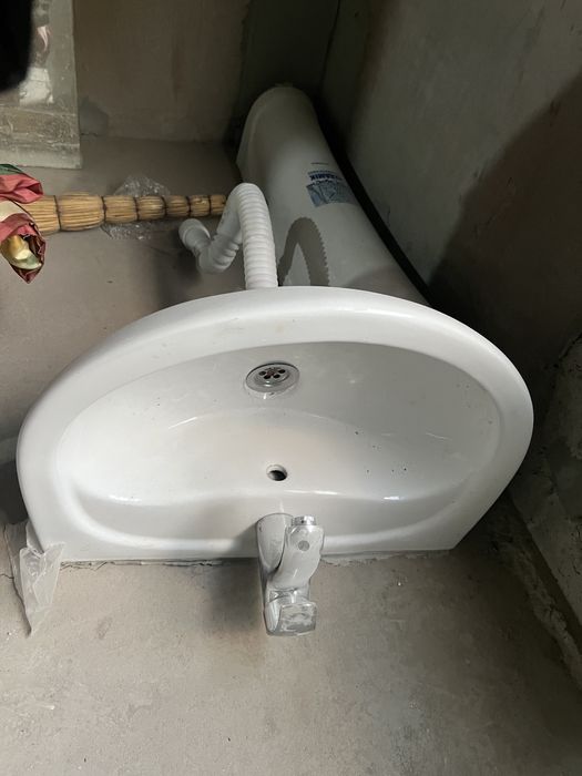 Раковина тюльпан