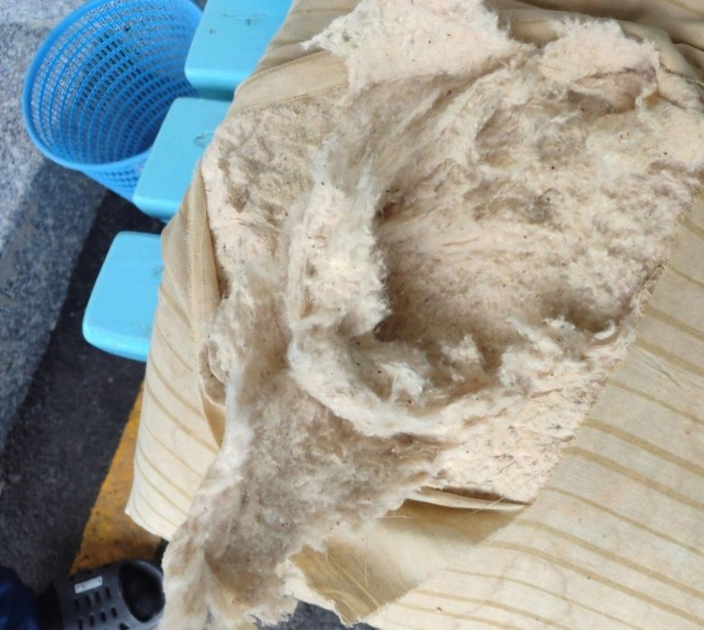 Eski paxta qabul qilamiz