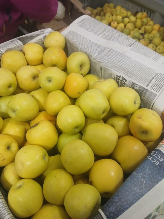 Срочно продам оптом яблоки