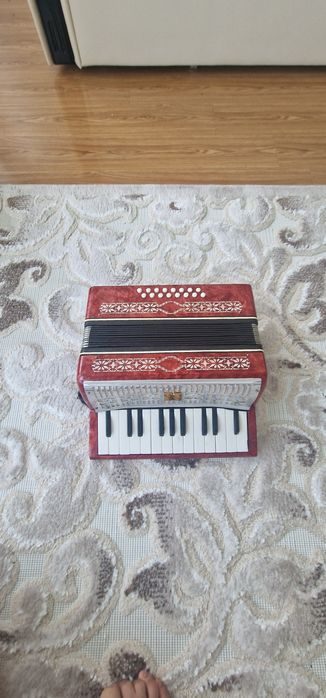 Vand acordeon mic copii/adulti