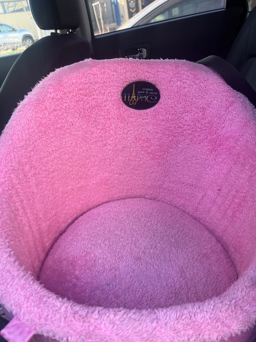 Кучешко столче за кола