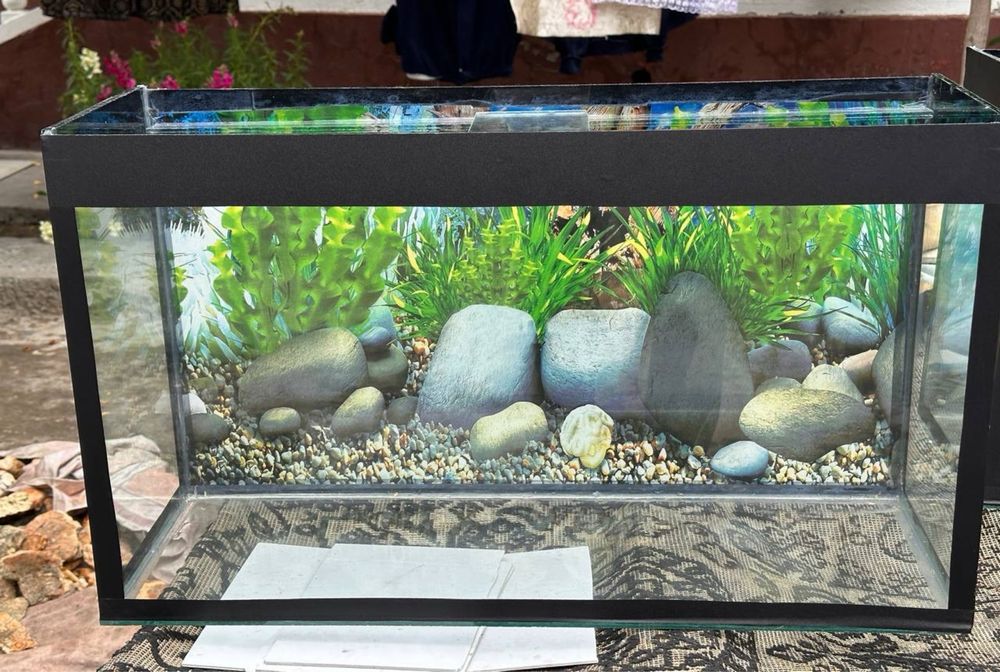Аквариумлар ва стеллаж