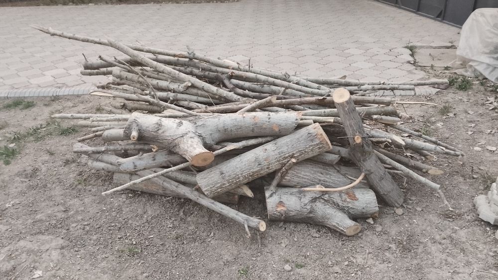 Отдам дрова даром