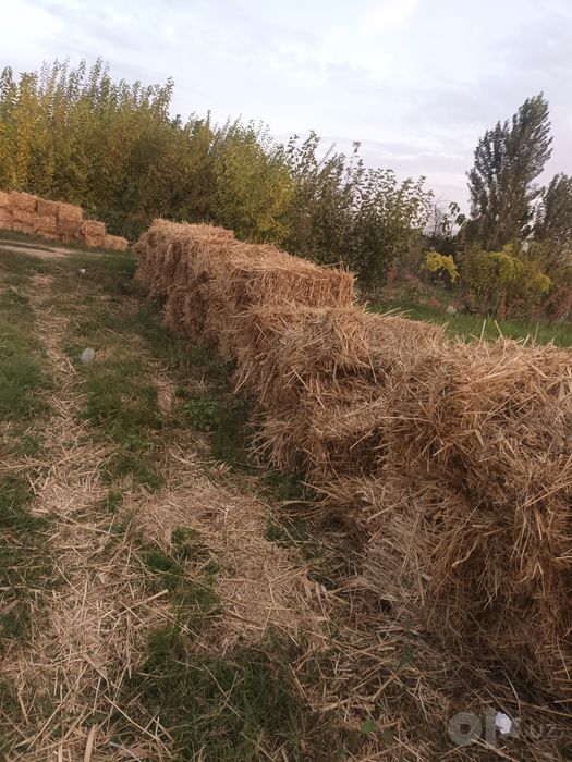 Ут камич г'умак беда аралаш прес