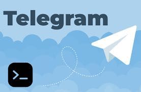 Mobile App,Website,Telegram bot,AI Usage,Backend,Cybersecurity,Server