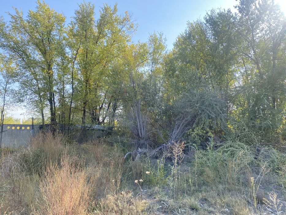 Дрова, Жетиген (Николаевка)