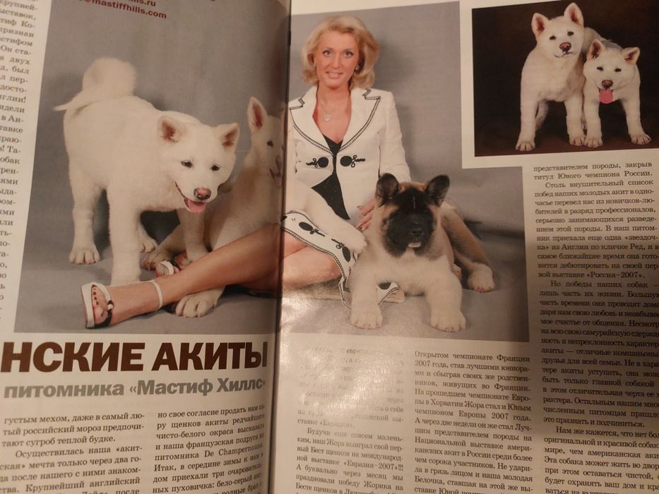 Американская Акита