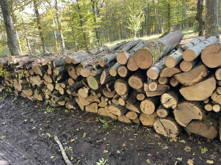 Lemne de foc esență