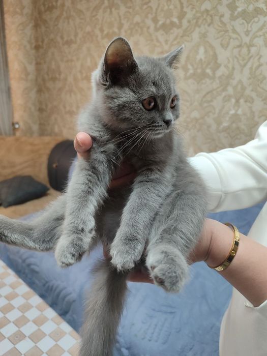 Соглиги яхши еб ичишлари яхши