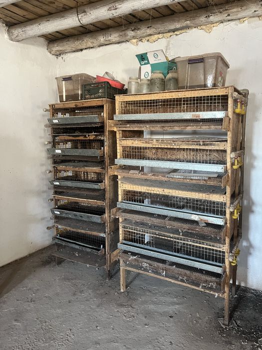 Бөдене асырауға клеткалар