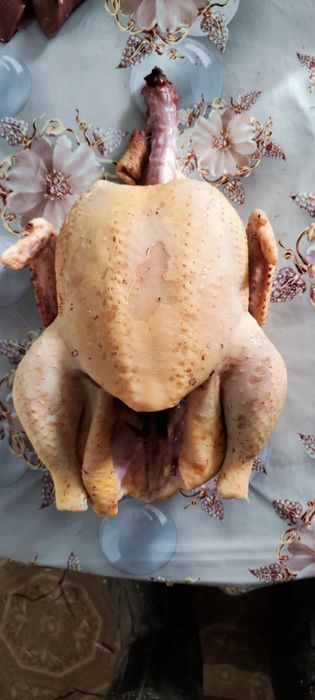 Мясо домашней курицы