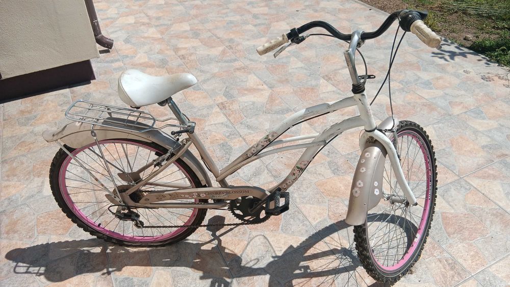 Bicicleta de Fete