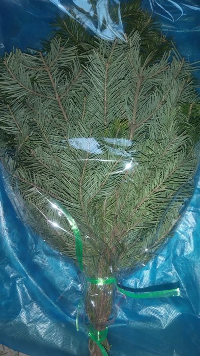 Веники и лечебные травы