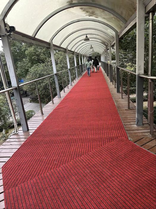 Коврик/dorojka/Резиновая дорожка/красная дорожка/Suvga chidamli