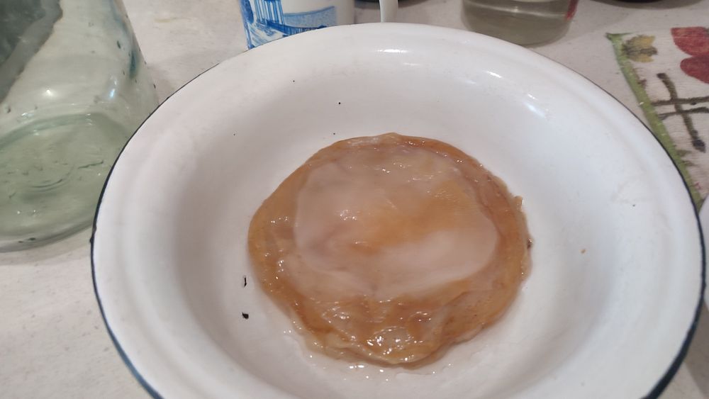 Чайный гриб - напиток