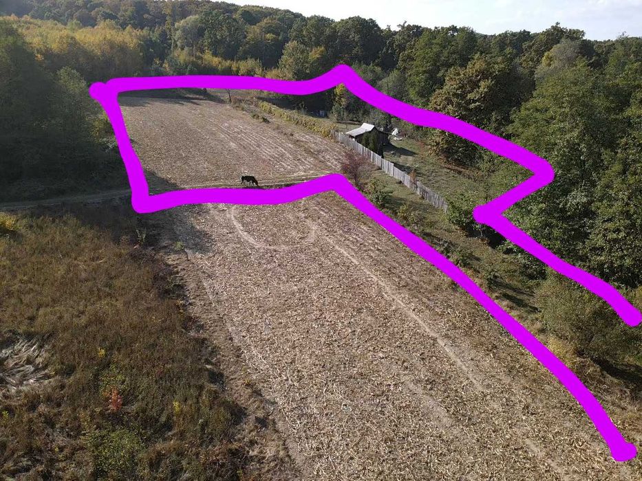 3 terenuri alăturate lângă pădure, Mica | aproape de Pitești