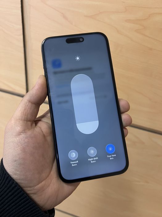 15 ПРОМАХ 256 100%