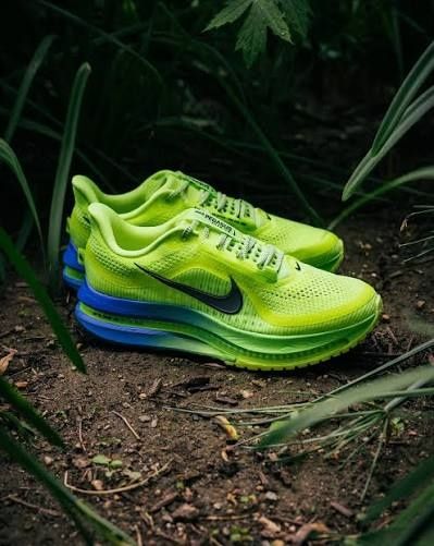 Nike Pegasus Premium
