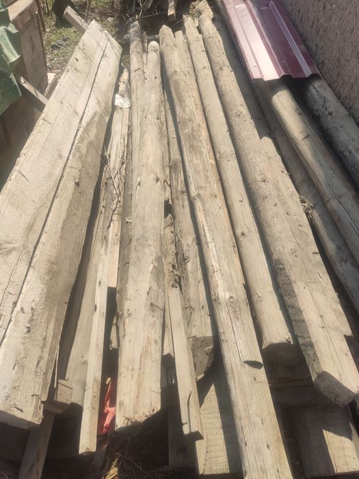 Кругляк 3.1 метр