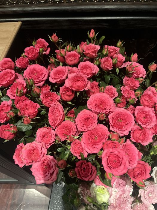 Цветыыыы  Туркестан