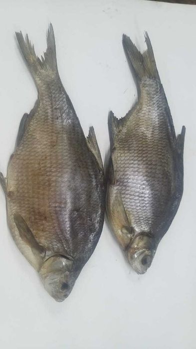 Копчёная рыба  пелядь боровое